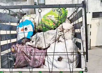 સેવાલીયા પાસેના અંગાડી પહાડીયા ગામેથી 800 કિલો ગૌવંશના માંસનો જથ્થો ઝડપાયો | 800 kg of beef seized f…