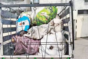 સેવાલીયા પાસેના અંગાડી પહાડીયા ગામેથી 800 કિલો ગૌવંશના માંસનો જથ્થો ઝડપાયો | 800 kg of beef seized f…