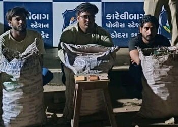 શહેરમાં BSNLના સાધનોની ચોરતી પરપ્રાંતીય ત્રિપુટી પકડાઇ,1000 ડિસ્ટ્રિબ્યુશન મોડ્યુલ કબજે | police cau…