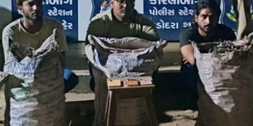 શહેરમાં BSNLના સાધનોની ચોરતી પરપ્રાંતીય ત્રિપુટી પકડાઇ,1000 ડિસ્ટ્રિબ્યુશન મોડ્યુલ કબજે | police cau…