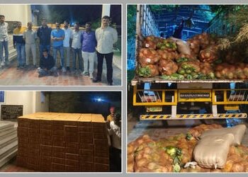 અમદાવાદ-માળિયા હાઈવે પર પોલીસના દરોડા, કોબીજ અને ભૂસાની આડમાં લઈ જવાતો દારૂનો મોટો જથ્થો ઝડપાયો | Ah…