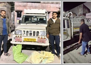 જામનગર: બુટલેગરની ચબરાકી પર પોલીસ ભારે પડી, બોલેરોમાં બનાવેલા ચોરખાનામાંથી દારૂ ઝડપાયો | Jamnagar Li…