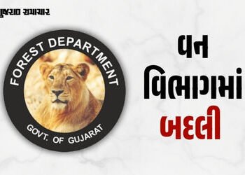 વન વિભાગમાં મોટો ફેરફાર: IFS અને GFS અધિકારીઓની મોટાપાયે બદલી, જુઓ યાદી | Gujarat Forest Department …