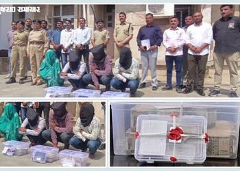 VIDEO | સુરેન્દ્રનગરમાં હનીટ્રેપ ગેંગ ઝડપાઈ, જમીન દલાલને પ્રેમજાળમાં ફસાવ્યો, વીડિયો ઉતારી 1 કરોડ પડ…