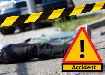 ડાંગમાં ભયાનક અકસ્માત: બરડીપાડા-મહાલ રોડ પર પીકઅપ ગાડી પલટી, 3ના મોત, 9ને ઈજા | dang news pickup veh…