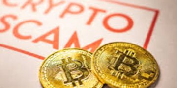 ક્રિપ્ટોમાં રોકાણની લાલચ આપીને નાણાં પડાવવાના કિસ્સાઓમાં ચિંતાજનક વધારો | people lost more than 25 c…