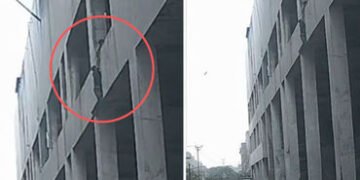 વડોદરામાં એક મોલના બીજા માળેથી પટકાતા યુવકનું મોત, લોકોએ બચાવવાનો કર્યો હતો પ્રયાસ | Youth dies afte…