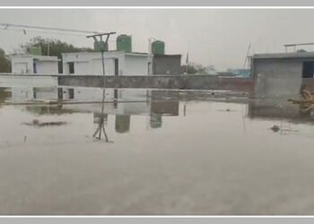 ગુજરાતમાં આજે 5 જિલ્લામાં કમોસમી વરસાદની આગાહી, ભરૂચમાં પવન સાથે ધડબડાટી બોલાવી | Unseasonal Rain St…