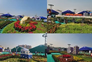 સુરત પુસ્તક મેળામાં અમદાવાદની નબળી કોપી કર્યાનો મુલાકાતીઓનો આક્ષેપ | Visitors allege poor copying of…