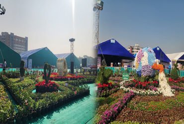 કોવિડ બાદ પુસ્તક મેળાનું આવ્યું મુર્હુત: સુરત પાલિકાના 20માં પુસ્તક મેળાને રાજ્યના મુખ્યમંત્રીએ ખુલ્…