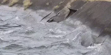 ખેડૂતો ચિંતામાં મૂકાયા! નસવાડીના સીમલ ધોડા ગામે નર્મદાની મુખ્ય કેનાલની લાઈનિંગમાં ગાબડું, મોટું ભંગા…