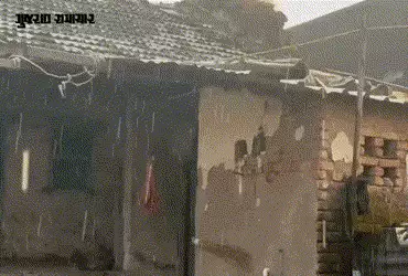 અમરેલી જિલ્લામાં માવઠું: ખાંભા, ધારી અને બગસરા સહિત ગીર પંથકમાં કમોસમી વરસાદ, રવિ પાકને ભારે નુકસાનન…