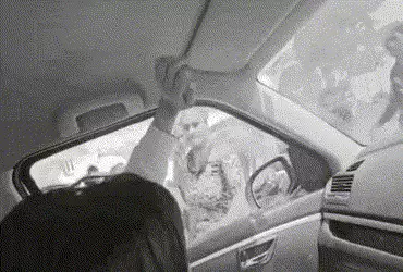 ગોંડલમાં મહિલાઓના પ્રશ્નો સાંભળવા ગયેલા AAP નેતા જીગીશા પટેલ પર જીવલેણ હુમલો, કારના કાચ તોડી નાંખ્યા…