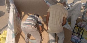 અમરેલીમાં આજથી ટેકાના ભાવે તુવેરની ખરીદીનો પ્રારંભ, રૂ.1600ના ભાવે વેચાતા ખેડૂતો ખુશખુશાલ | Amreli N…