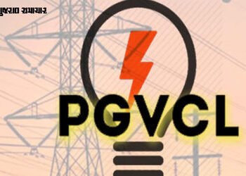 સૌરાષ્ટ્ર-કચ્છમાં PGVCLની મેગા ચેકિંગ ડ્રાઈવ: રૂ.652 કરોડનું વીજબિલ બાકી, 28 લાખ કનેક્શનો પર તવાઈ | …