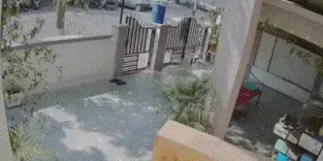 ગોળીની જેમ આવેલી કાર બંગાલામાં ઘૂસી ગઈ, એક્ટિવાનો કચ્ચરઘાણ વળ્યો… અમદાવાદમાં કે.કે.નગરમાં બની ઘટના…