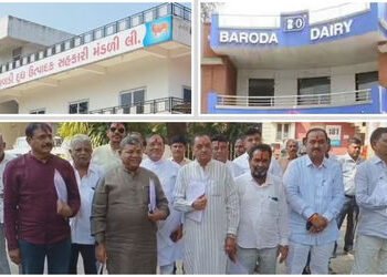 બરોડા ડેરીની ચૂંટણીમાં ભાજપ-કોંગ્રેસ વચ્ચે ‘ઈલુ ઈલુ’?: છોટાઉદેપુરની 4 બેઠકો બિનહરીફ કરવા ‘સેટિંગ’ના …