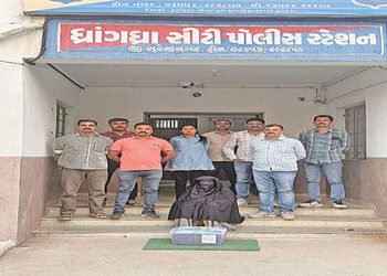 ધ્રાંગધ્રા શહેરમાં રૃ.1.23 લાખના સુકા ગાંજા સાથે મહિલા ઝડપાઇ | Woman caught with dried ganja worth R…