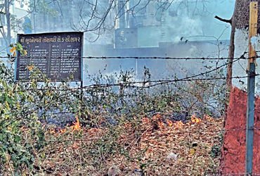 વનઆરક્ષિત વિસ્તારમા આગની શરૂઆત : હરિયાળી પર જોખમ | Fire breaks out in forest reserve: Threat to gree…