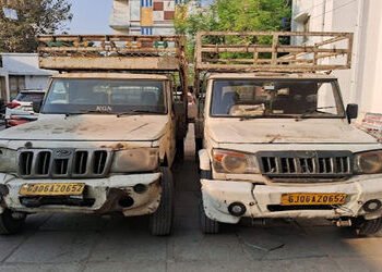 વડોદરામાં બેંકના હપ્તાથી બચવા બોલેરો માલિકનું કારસ્તાન : બે બોલેરોમાં એક સરખી નંબર પ્લેટ | Bolero ow…