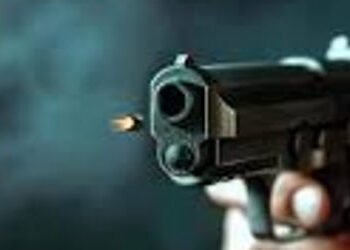 વડોદરા ભાજપના નેતાનું પોતાના ફાર્મહાઉસમાં બે રાઉન્ડ ફાયરિંગ | BJP leadet firing in farm house one in…