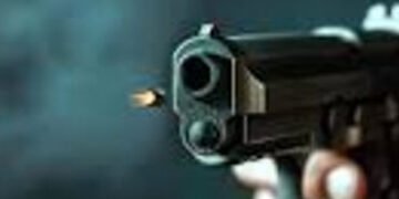 વડોદરા ભાજપના નેતાનું પોતાના ફાર્મહાઉસમાં બે રાઉન્ડ ફાયરિંગ | BJP leadet firing in farm house one in…