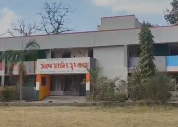 વડોદરાઃગોરજમાં દિવસે પ્રાથમિક સ્કૂલની બહાર દીપડાના આંટાફેરાથી વિદ્યાર્થીઓ ભયભીત | Leopard roaming ou…