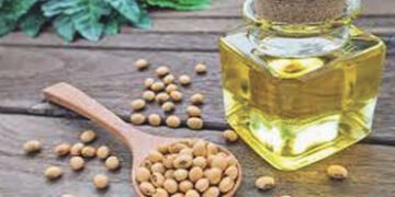 SAFTA કરાર હેઠળ ડયુટી મુક્ત વેપારના કારણે 2025માં નેપાળની ભારતમાં સોયાતેલની નિકાસ 10 ગણી વધી | Nepal…