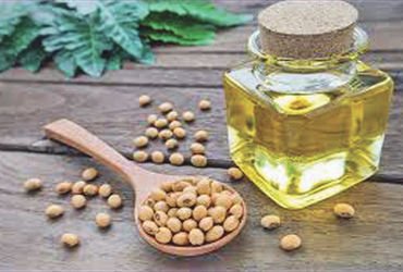 SAFTA કરાર હેઠળ ડયુટી મુક્ત વેપારના કારણે 2025માં નેપાળની ભારતમાં સોયાતેલની નિકાસ 10 ગણી વધી | Nepal…