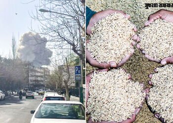 યુદ્ધની અસર! શિપમેન્ટ અટકતા ભારતના ચોખા નિકાસકારોના કરોડો રૂપિયા ફસાયા, વેપારીઓને મોટું નુકસાન | Ira…