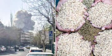 યુદ્ધની અસર! શિપમેન્ટ અટકતા ભારતના ચોખા નિકાસકારોના કરોડો રૂપિયા ફસાયા, વેપારીઓને મોટું નુકસાન | Ira…