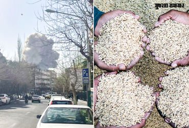 યુદ્ધની અસર! શિપમેન્ટ અટકતા ભારતના ચોખા નિકાસકારોના કરોડો રૂપિયા ફસાયા, વેપારીઓને મોટું નુકસાન | Ira…