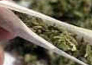 ટ્રેનમાં બિનવારસી કોથળામાંથી ૨૨ લાખનો ગાંજાનો જથ્થો કબજે કરાયો | ganjo caught in jaypur special trai…