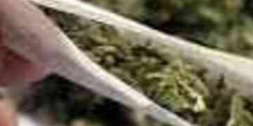 ટ્રેનમાં બિનવારસી કોથળામાંથી ૨૨ લાખનો ગાંજાનો જથ્થો કબજે કરાયો | ganjo caught in jaypur special trai…