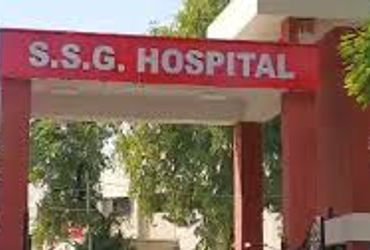 વાઘોડિયારોડ પર શેરી કૂતરાના કારણે ભયનો માહોલ | Street dogs create fear on Waghodia Road