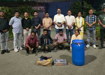 વાપીમાં રીક્ષામાંથી 13.730 કિલોગ્રામ ગાંજાનો જથ્થો પકડાયો : પાંચની ધરપકડ, બે વોન્ટેડ | 13 730 kg of …