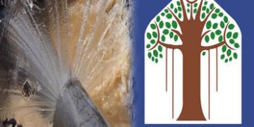 વડોદરાના ન્યુ વીઆઇપી રોડ પર પાણીની લાઈનમાં ભંગાણ : હજારો લિટર પાણીનો વેડફાટ | Water line ruptures on…