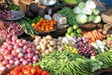 ખેડૂતોને વચેટિયાઓની મદદ વગર શાકભાજી વેચવા પ્લેટફોર્મ પૂરુ પાડશે | msu will help farmers to sell vege…