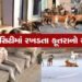 ભાવનગરમાં શ્વાનનો ત્રાસ યથાવત, 12 માસમાં 17,628 લોકોને કરડતા ગભરાટ | Dog harassment continues in Bha…