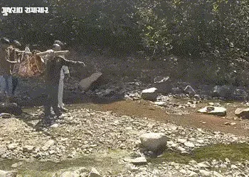 શરમજનક! નસવાડીના કુકરદામાં આઝાદીના 77 વર્ષ પછી પણ સગર્ભાને ઝોળીમાં ઉંચકી જવી પડી | Pregnant Woman Ca…