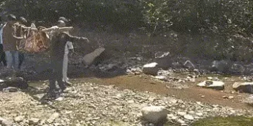 શરમજનક! નસવાડીના કુકરદામાં આઝાદીના 77 વર્ષ પછી પણ સગર્ભાને ઝોળીમાં ઉંચકી જવી પડી | Pregnant Woman Ca…