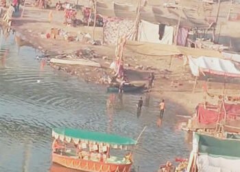 મહીસાગર નદીમાં ઝેરી દવા નાખી ઝીંગા-માછલી મારવાનો આક્ષેપ : કિનારે મોટી સંખ્યામાં મૃત માછલી-ઝીંગા મળતા…