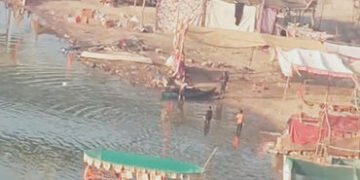 મહીસાગર નદીમાં ઝેરી દવા નાખી ઝીંગા-માછલી મારવાનો આક્ષેપ : કિનારે મોટી સંખ્યામાં મૃત માછલી-ઝીંગા મળતા…