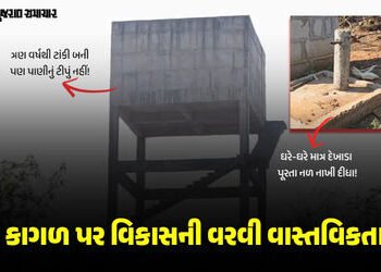 નસવાડીમાં ‘નલ સે છલ’: કુકરદામાં 3 વર્ષથી ટાંકી-નળ તૈયાર પણ પાણીનું ટીપુંય ટપક્યું નથી, 82 કરોડની યોજ…