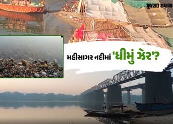 મહીસાગર નદીમાં ઝેરી પ્રવાહી નાખી માછલી-જિંઘા મારવાનો આક્ષેપ, વડોદરા-આણંદના પીવાના પાણી પર તોળાતું જો…