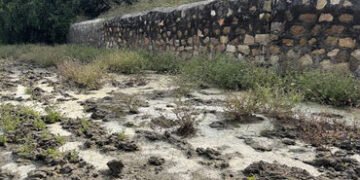 વિરમગામમાં પ્રદૂષણ ફેલાવતી રોકેટ ઇન્ડિયાને 15 દિવસમાં બંધ કરવા આદેશ | Rocket India which is causing …