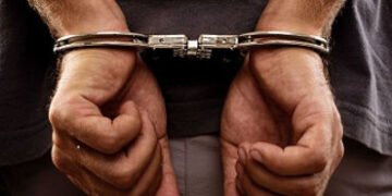 તરસાલીના ફાર્મ હાઉસ બહાર કારમાંથી 3000 ડોલર અને 6 બેગો ચોરનાર રીઢો આરોપી પકડાયો | accused caught in …