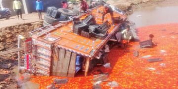 રૂણ-દેવા વાંટા રોડ ઉપર ટામેટા ભરેલી ટ્રક ઊંડા કાંસમાં ખાબકી, મજૂરોનો બચાવ | Truck loaded with tomato…