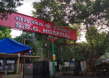 SSG હોસ્પિટલમાં મોબાઇલ ચોરાવાનો સિલસિલો યથાવત : ભરૂચના યુવકનો રૂ.88 હજારનો મોબાઇલ ચોરાયો | mobile ph…