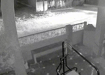 ગોધરામાં તસ્કરો બેફામ: ભાજપ યુવા મોરચાના મહામંત્રીની સ્કોર્પિયો કાર ઘરઆંગણેથી ચોરાઈ, ઘટના CCTVમાં કે…